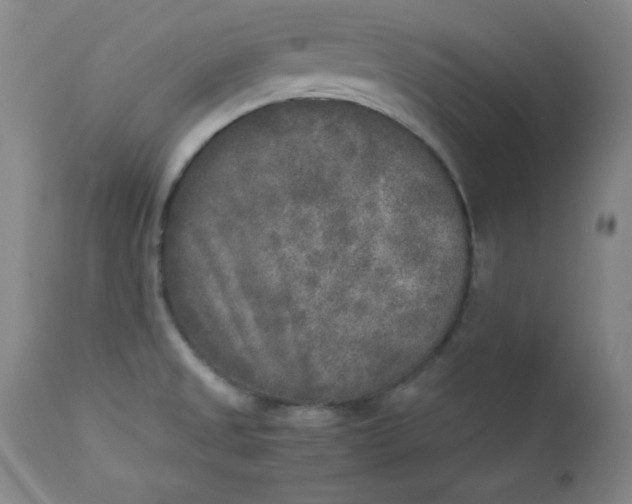 X0000112851525200909041517