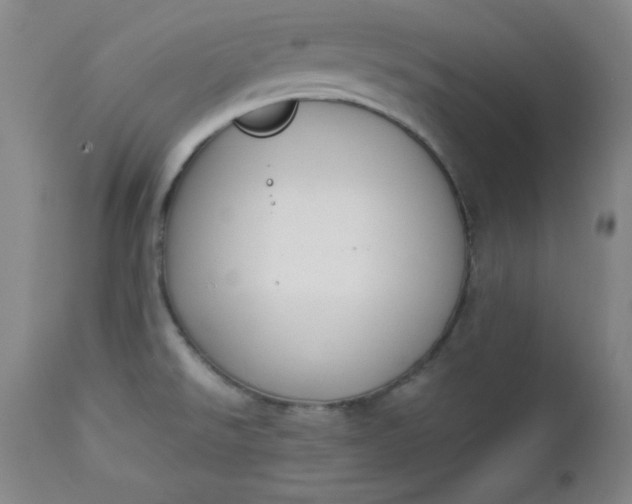 X0000112851526200909041517