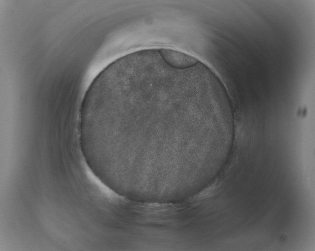 X0000112851527200909041517