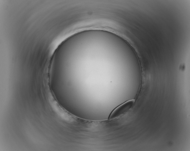 X0000112851530200909041517