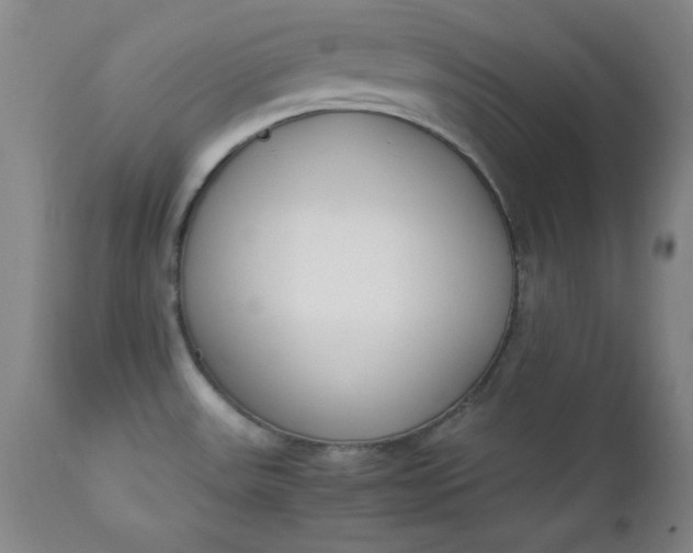 X0000112851531200909041517