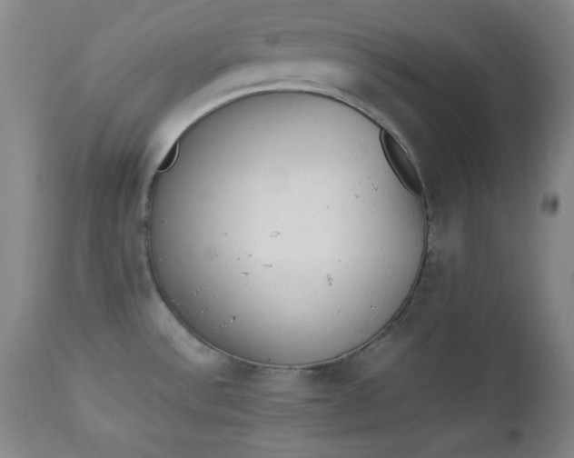 X0000112851532200909041517