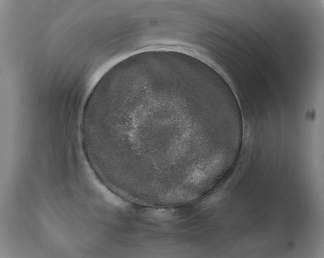 X0000112851533200909041517