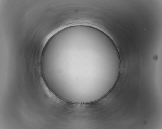 X0000112851534200909041517