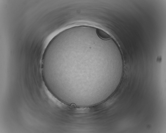 X0000112851535200909041518