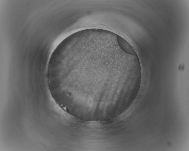 X0000112851536200909041518