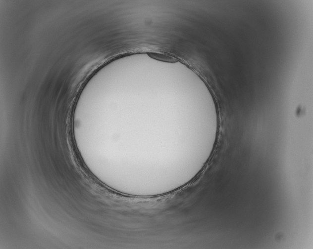 X0000112850001200909111456