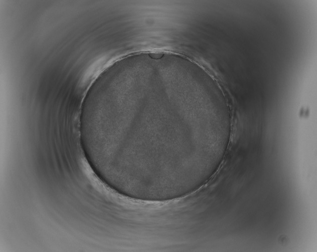 X0000112850002200909111456