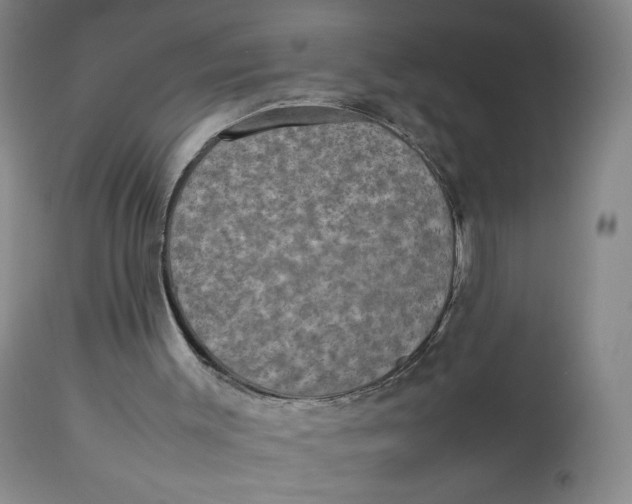 X0000112850003200909111456