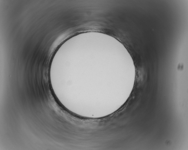 X0000112850004200909111456