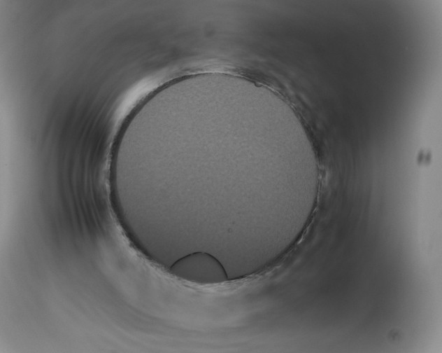 X0000112850006200909111456