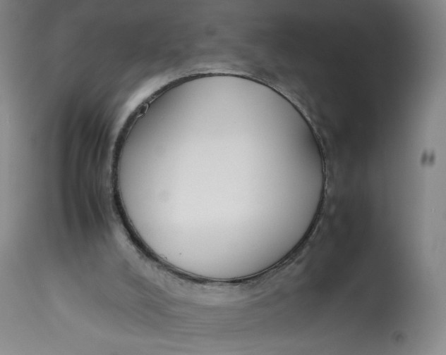 X0000112850008200909111456