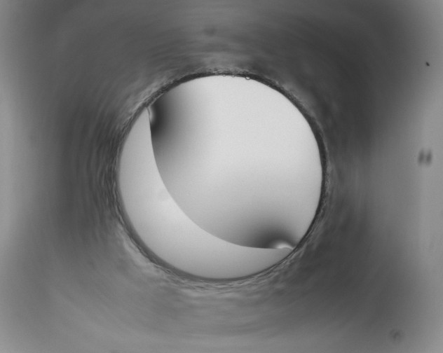 X0000112850009200909111456