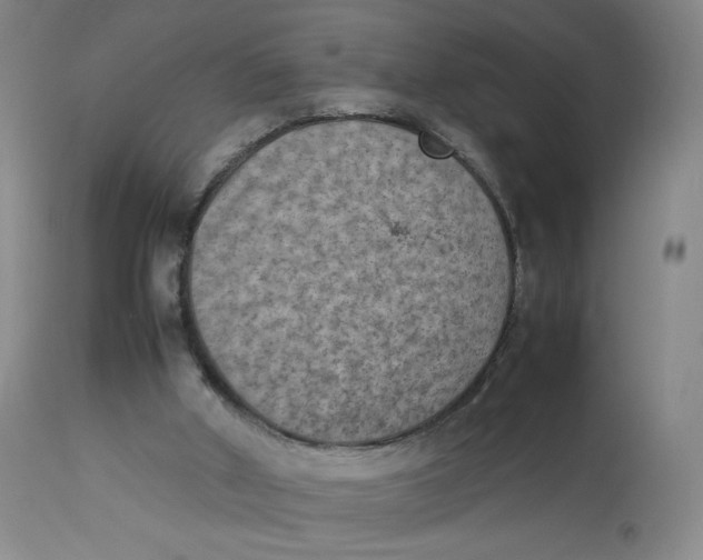 X0000112850010200909111456