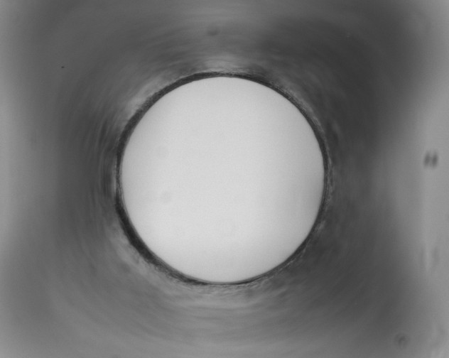 X0000112850011200909111456