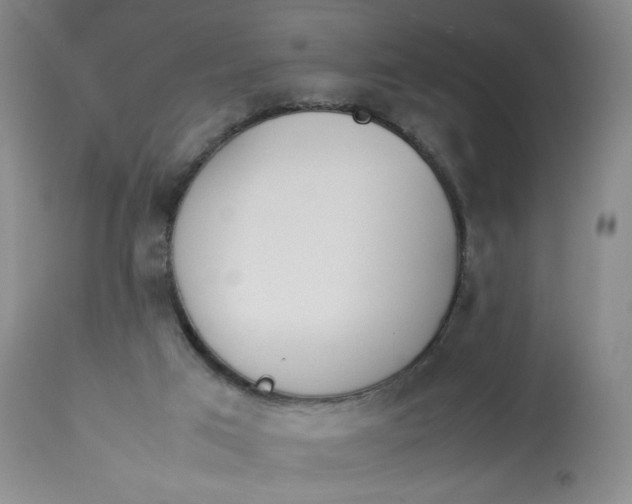 X0000112850017200909111456