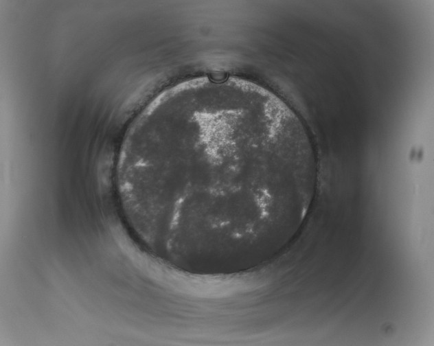 X0000112850018200909111456