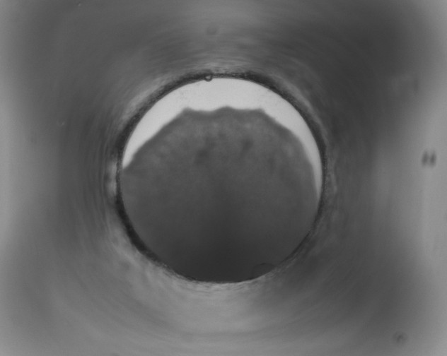 X0000112850019200909111456