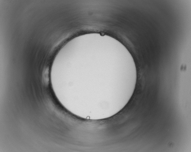 X0000112850020200909111456