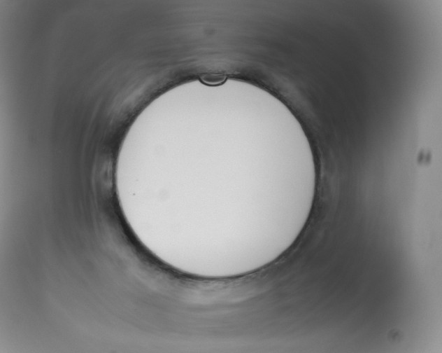 X0000112850021200909111456