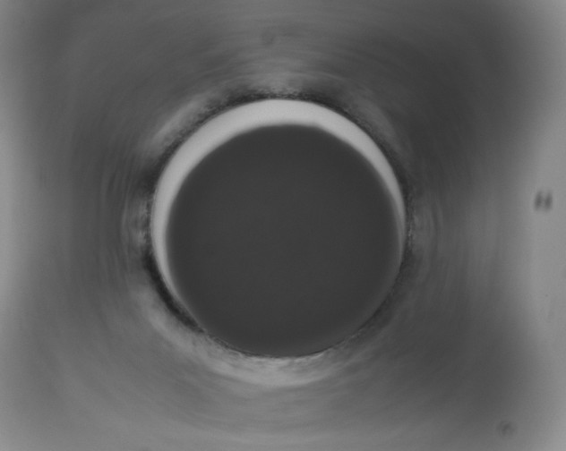 X0000112850023200909111456