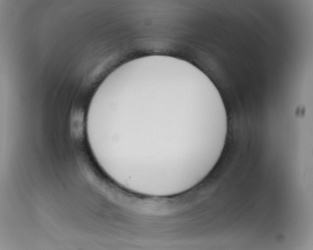 X0000112850024200909111456