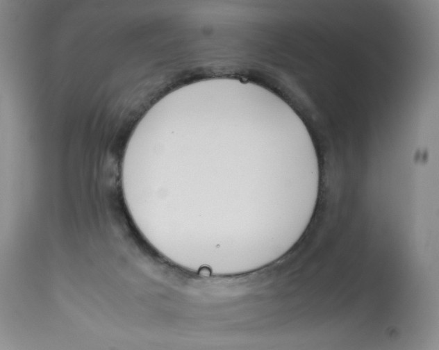 X0000112850025200909111456