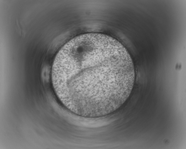 X0000112850026200909111456