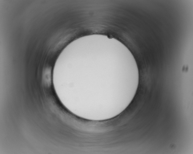 X0000112850028200909111456