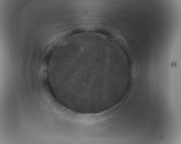 X0000112850029200909111456