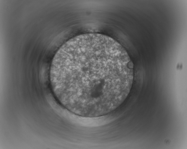 X0000112850030200909111456