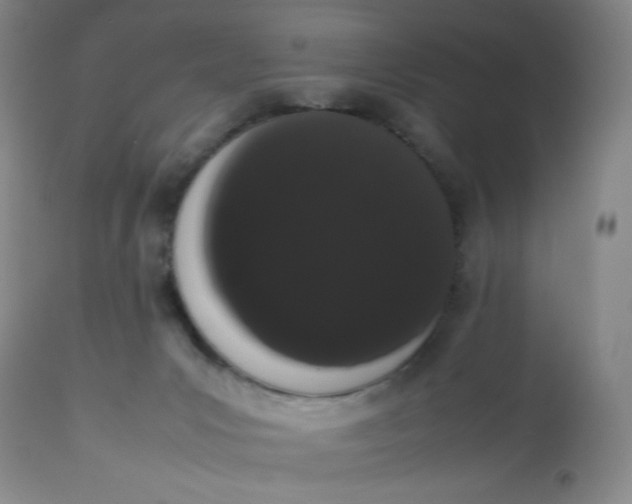 X0000112850031200909111456