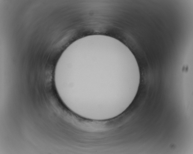 X0000112850032200909111455