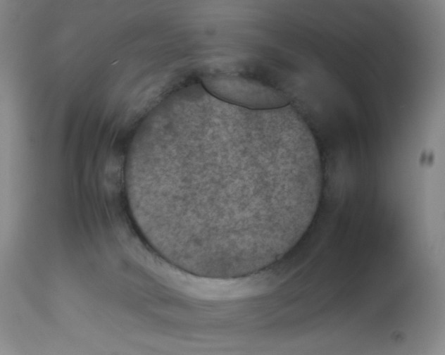 X0000112850034200909111455