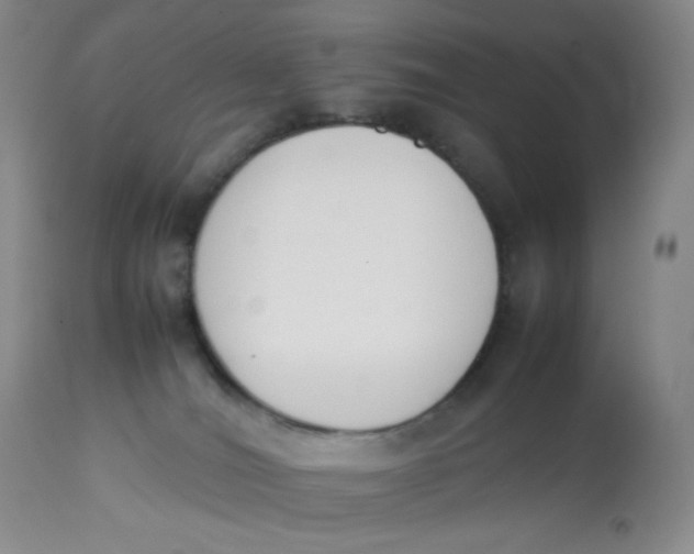 X0000112850036200909111455