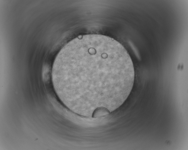 X0000112850038200909111455