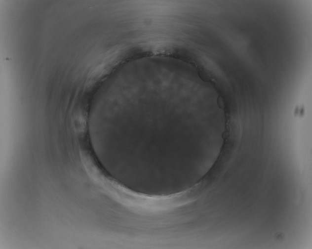 X0000112850039200909111455