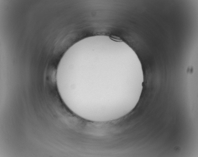 X0000112850041200909111455