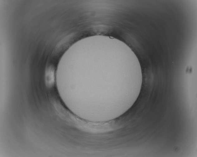 X0000112850042200909111455