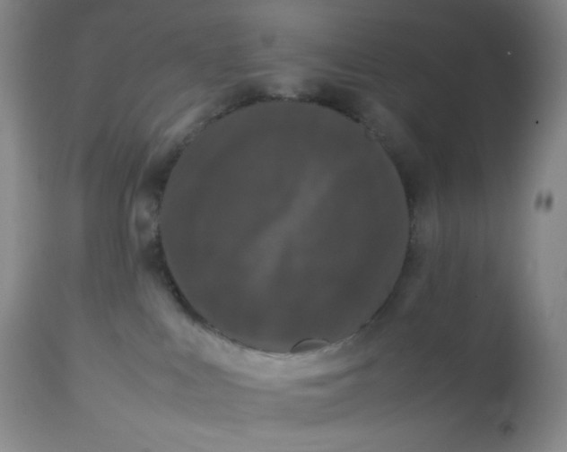 X0000112850043200909111455