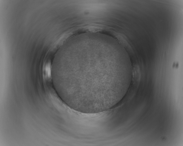 X0000112850046200909111455