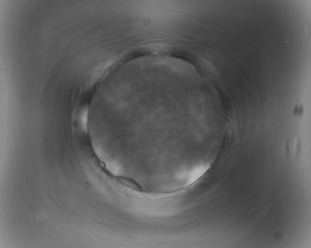 X0000112850047200909111455