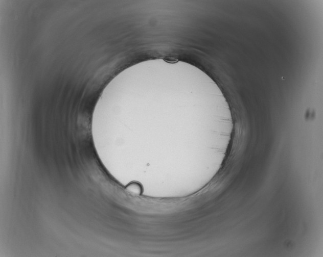 X0000112850048200909111455