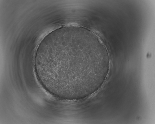 X0000112850049200909111454