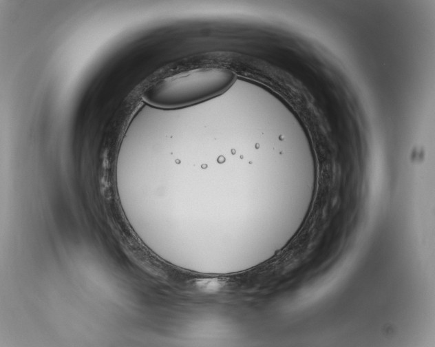 X0000112850050200909111454