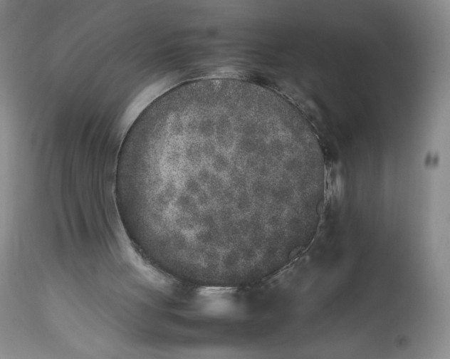 X0000112850051200909111454