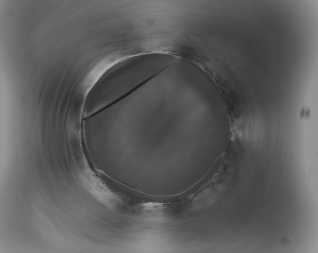 X0000112850052200909111454