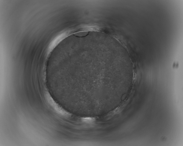 X0000112850053200909111454