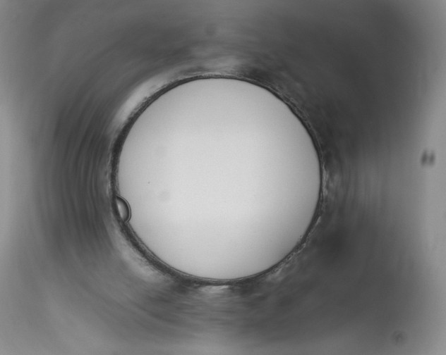 X0000112850054200909111455