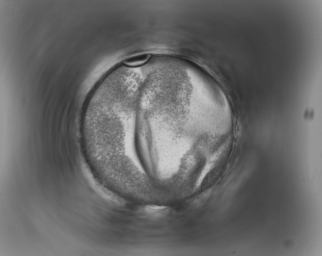 X0000112850055200909111455